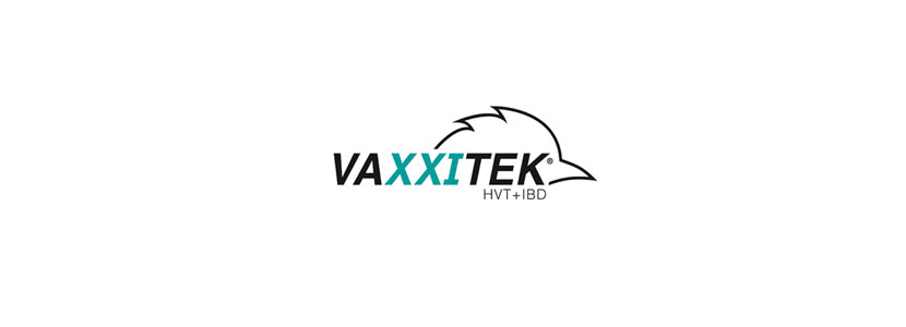 100 billones de aves han sido vacunadas con Vaxxitek® HVT+IBD