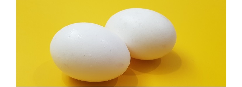 Otra compañía colombiana adhiere al suministro de huevo libre de jaula