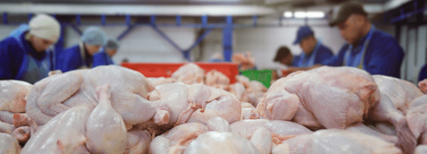 Carne de pollo brasileña registra alza de 10,8% en ventas acumuladas 2019