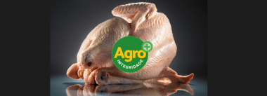 Brasil: Productores de carne de pollo reciben sello Agro+ Integridad Selo Agro + Integridade Selo Mais Integridade