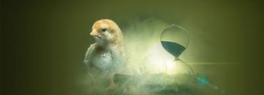 Imagen Revista A alimentação precoce traz benefícios? O essencial é acertar o tempo exato