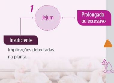 mapa mental estratégia gerencial efetiva indústria do frango