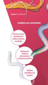 processos parasitários combate aos nematoides