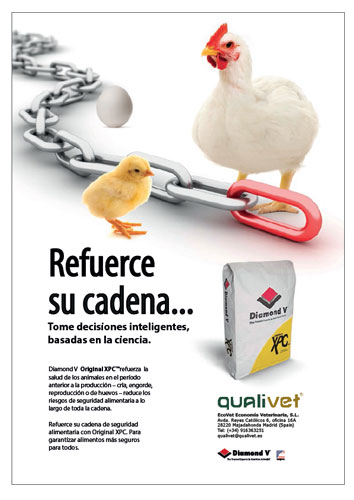 nutrición avícola