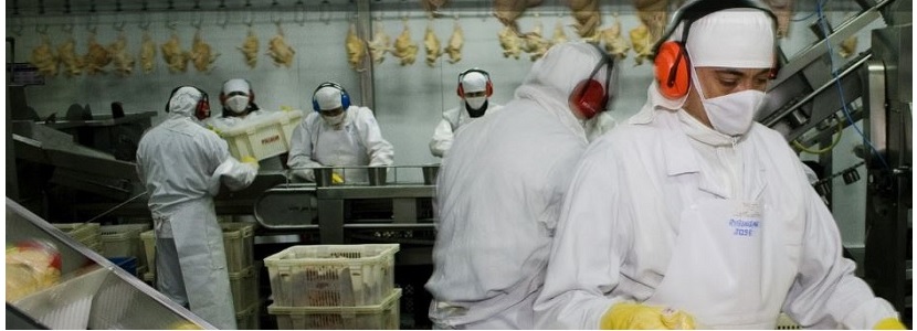 Argentina: Certificación electrónica agiliza la exportación de carne de ave