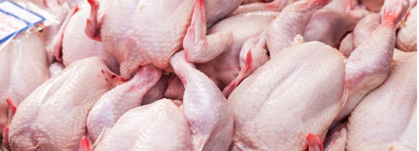 En Brasil, exportación de carne de pollo cae en 5,1% el año 2018 méxico