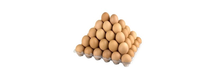 República Dominicana investiga livre concorrência do mercado de ovos