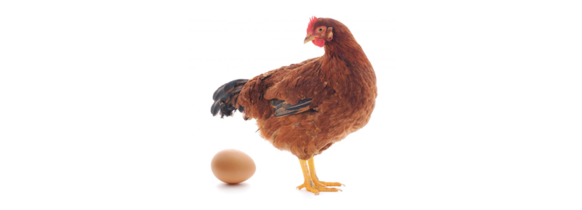 Tres formas en las que hoy día los huevos son...