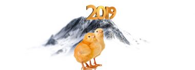 Imagen Revista As conquistas da avicultura em 2018 e os desafios de 2019
