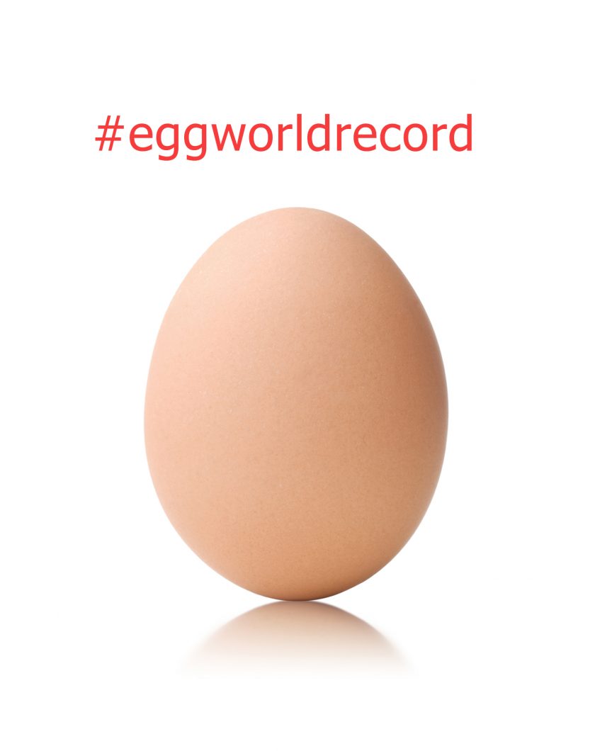 ovo egg world record