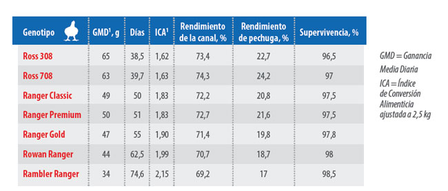 genética avícola