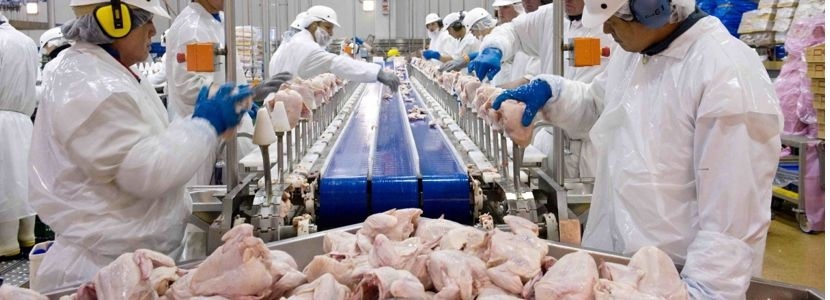 Brasil: Exportaciones de carne de pollo caen 14,7% en enero 2019