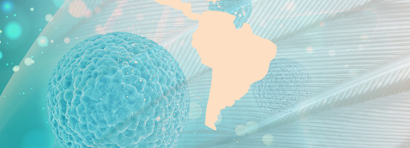 Foco influenza aviária: Importância da enfermidade para América Latina