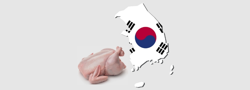 Corea del Sur habilita a nuevos exportadores brasileños de carne de pollo