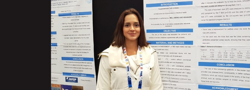 Brasil apresenta na IPPE como produzir frango saudável e com bem-estar