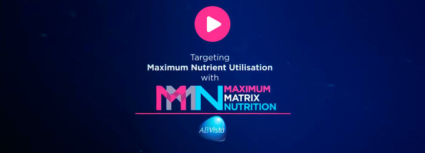 Máxima utilización de nutrientes con la máxima nutrición matricial