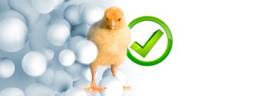 Imagen Revista AVIMATRIX, optimizando la eficacia de utilización del alimento en broilers