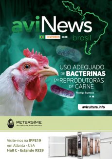 aviNews Brasil Dezembro de 2018 
