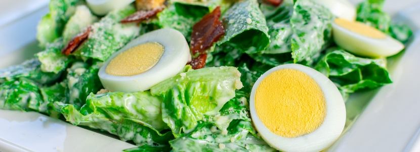 pesquisas asseguram consumo de ovos