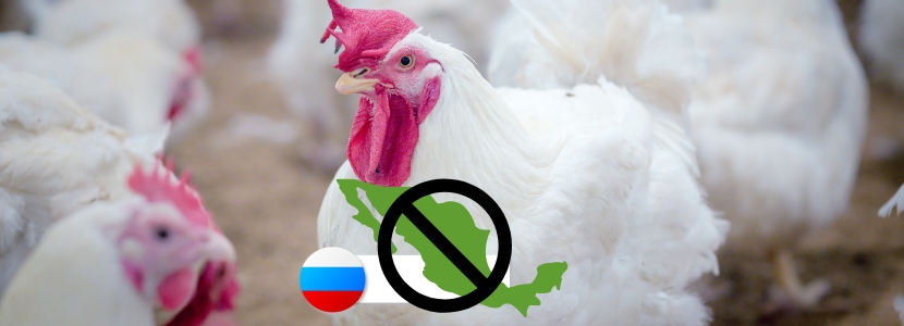 Rússia restrições a produtos avícolas de estados do México