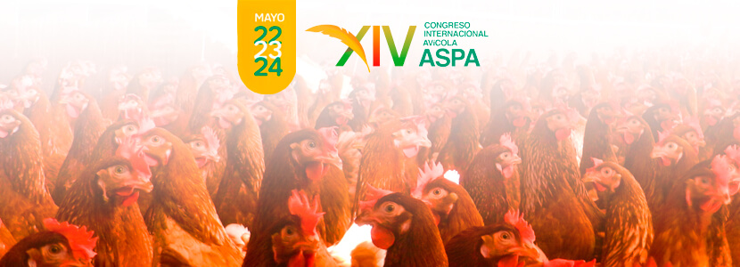 En Colombia se reunirán los especialistas avícolas en CONEXIÓN 2019