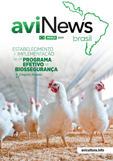 aviNews Brasil Março de 2019 