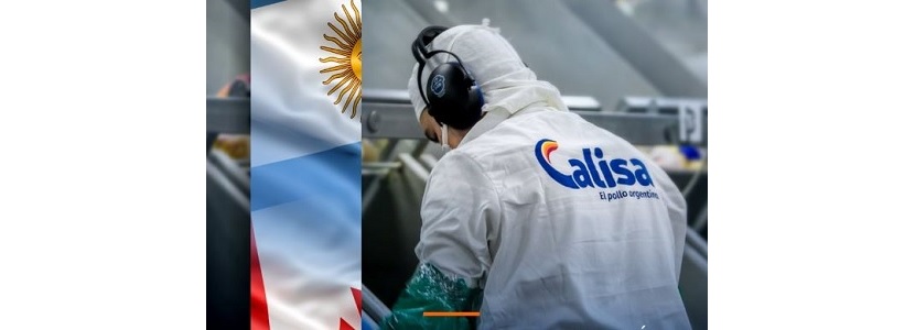 Argentina exporta por primera vez carne de ave a Canadá