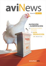 DESPERDICIOS: Otro Gran Reto Durante el Procesamiento de los Pollos