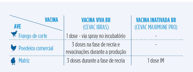 patología avicultura