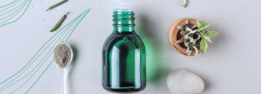 Imagen Revista Salud intestinal y plantas, una forma prometedora para producción de aves