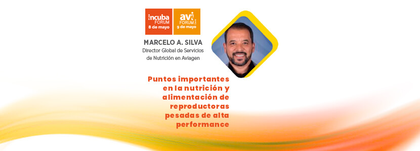 Memorias IncubaFORUM 2019: Marcelo A. Silva
