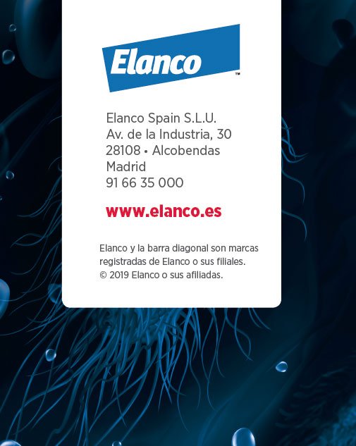 salmonella elanco