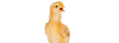 Imagen Revista Por que medir a pressão estática da sala?