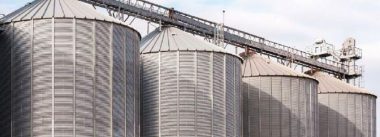 Imagen Revista Controle de Salmonella através da integração de silos (Organizacionais)