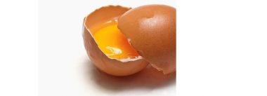 Imagen Revista A membrana vitelínica, sua importância na reprodução de frango