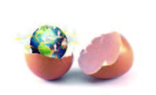 La industria del huevo en Latinoamérica,  breve perspectiva