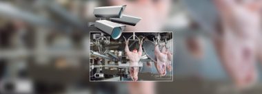 Imagen Revista Propuesta para el monitoreo y control de los desperdicios en las plantas