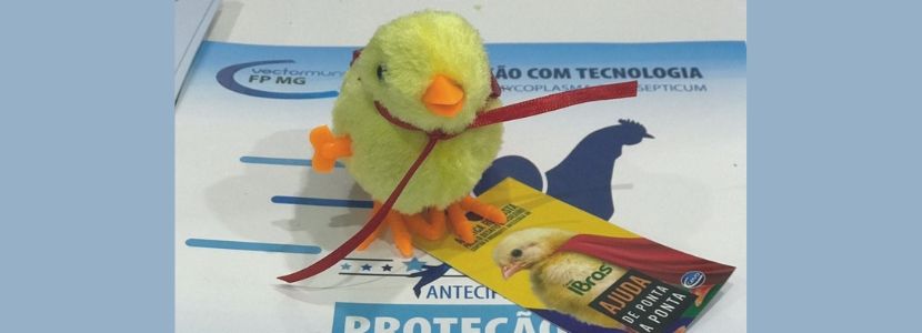 Ceva e Granja Almeida realizam ação social durante a 4ª Feira de Avicultura do Nordeste