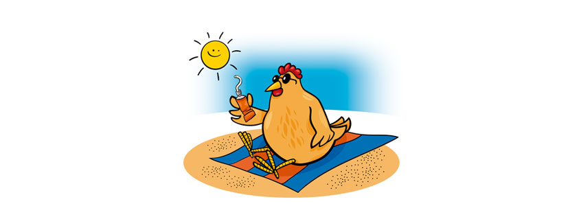 Efectos del estrés por calor en pollos de engorde