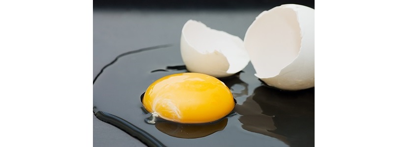 Desmitificando al huevo para la conmemoración del “Día mundial del huevo”