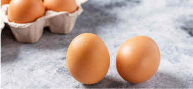 calidad del huevo qualidade do ovo