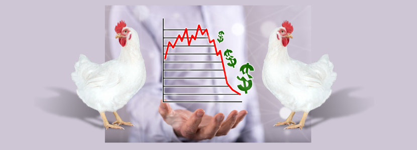 impactos financeiros doenças de produção avícola