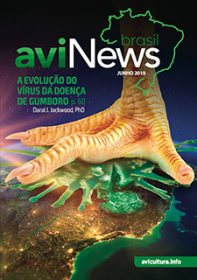 aviNews Brasil Junho de 2019