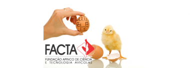 facta novo endereço