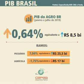 PIB Agro
