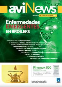 aviNews Octubre 2013