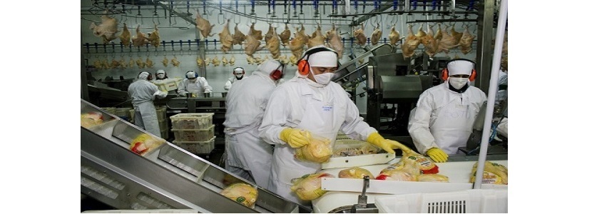 Exportações de carne de frango devem crescer 25% na Argentina este ano
