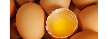 La empresa Innovo de Costa Rica obtiene certificación de bienestar animal