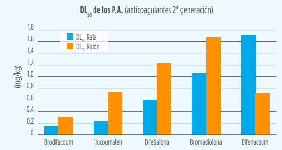 Cómo elegir veneno para ratas: raticidas efectivos para el hogar