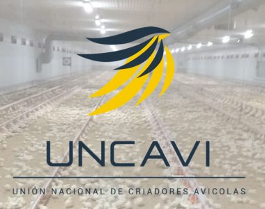 unión nacional de productores avícolas